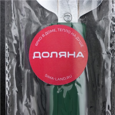 Открывашка-штопор Доляна «Польза», 14.5 см, МИКС