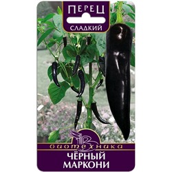 Перец сладкий Черный Маркони