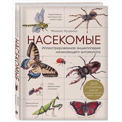 Уценка. Михаил Куценко. Насекомые. Иллюстрированная энциклопедия начинающего энтомолога. 240 популярных видов, которые обитают рядом с нами