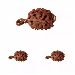 Набор Рудракши (3 х 2 мукхи), Dwimukhi Rudraksha Bead Set, произв. Isha Life