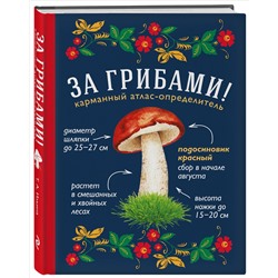Уценка. Ильина Т.А.. За грибами. Карманный атлас-определитель