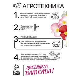 Семена цветов Бегония вечноцветущая «Сенатор F1», смесь, однолетник, 10 шт., «Аэлита»