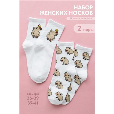 Носки женские Капибара (набор 2 пары)