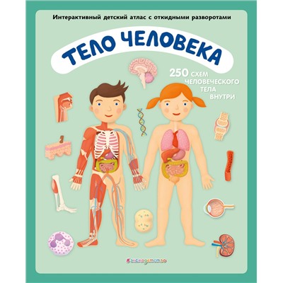 Уценка. Олдрих Ружичка. Тело человека. Интерактивный детский атлас с откидными разворотами