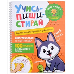 Учись–пиши–стирай. Многоразовая тетрадь-тренажер. Учимся писать крючки и закорючки. 100 упражнений для красивого почерка
