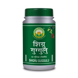 Шигру Гуггулу (40 таб, 380 мг), Shigru Guggulu, произв. Basic Ayurveda