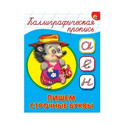 КАЛЛИГРАФИЧЕСКАЯ ПРОПИСЬ А5. ПИШЕМ СТРОЧНЫЕ БУКВЫ