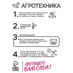 Цветы Колеус Радуга, смесь (зел.дом) (0,05г)
