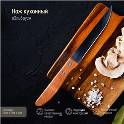 Нож кухонный Доляна «Эльбрус», лезвие 11.5 см