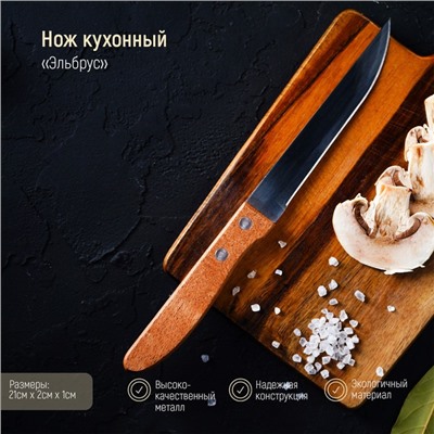 Нож кухонный Доляна «Эльбрус», лезвие 11.5 см