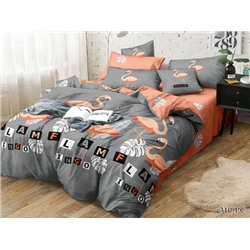 КПБ поплин Pure Cotton PC/CL Клео <PC/CL-310>