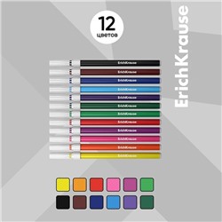 Фломастеры 12 цветов ErichKrause Basic, на водной основ, вентилируемый колпачок