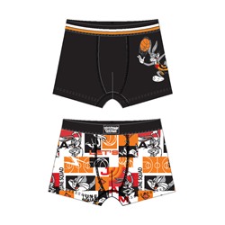 Трусы-боксеры для мальчика, 2 шт в комплекте