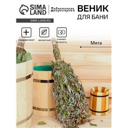 Веник для бани 45 (+-5) см ТРАВЯНОЙ из мяты, в индивидуальной упаковке
