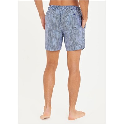 Stripe Regular Swim Shorts