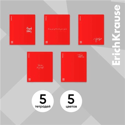 Тетрадь 48 листов в клетку, ErichKrause CoverProBook Words, пластиковая обложка, МИКС