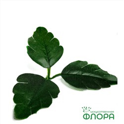 Лист Хризантемы "Стандарт" (402-2)