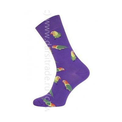 Носки женские 21С4200 166 Брестские Pets Conte [6шт] Дроп