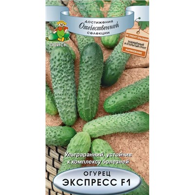 Семена Огурец Экспресс F1, арт.: 2346