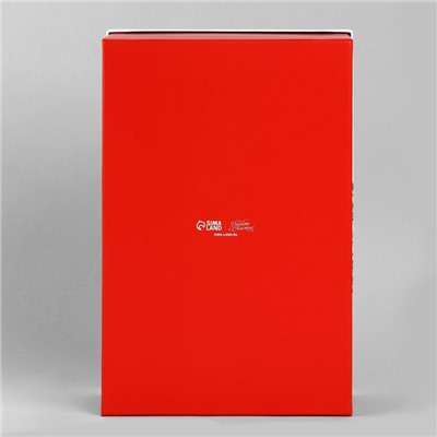 Коробка подарочная «С Новым годом», 28×18.5×11.5 см