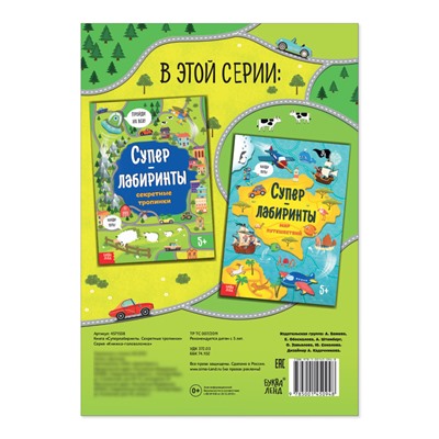 Книга «Суперлабиринты. Секретные тропинки», формат А4, 16 стр.