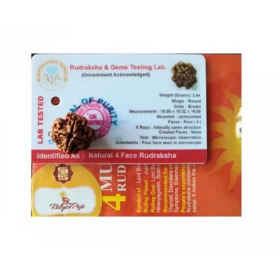 Рудракша сертифицированная (4 мукхи), 4 Mukhi Certified Rudraksha (Nepal), произв. Kalyan Puja