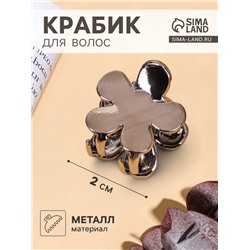 Крабик для волос «Брианна», цветок, 2 см, тёмное серебро