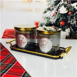 588-725 Набор из 2 банок для сыпучих продуктов 650мл. на подносе в под.уп.(х18)Стекло