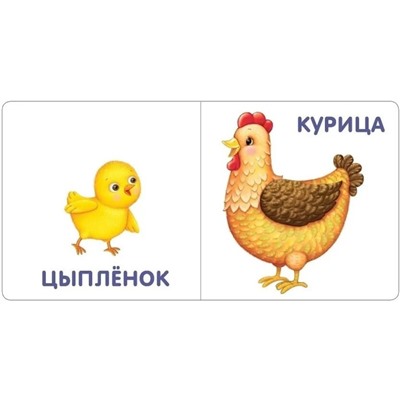 Книжка-картонка «Малыши и мамы»