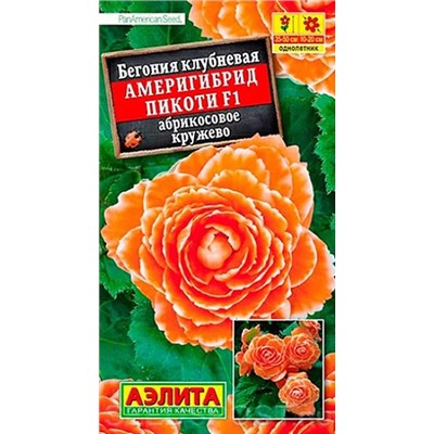 Семена Бегония Америгибрид Пикоти F1 абрикосовое кружево, арт.: 71266