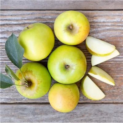 Яблоня Памяти Липунова, арт.: 75105