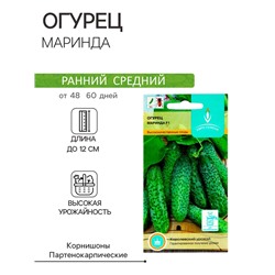 Семена Огурец "Маринда" F1, партенокарпический, 10 шт.