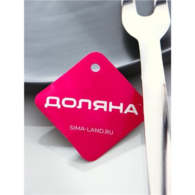 Вилка для мяса Доляна Everyday, h=37×3 см, толщина 3 мм, нержавеющая сталь, серебристая