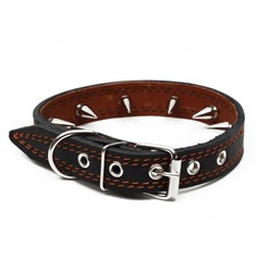 Ошейник кожаный «Строгий шип», 56×2.5 см, ОШ 35-45 см, чёрный