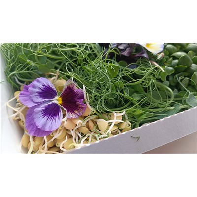 Микс большой