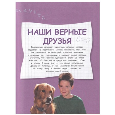 Уценка. Александра Смирнова: Домашние животные