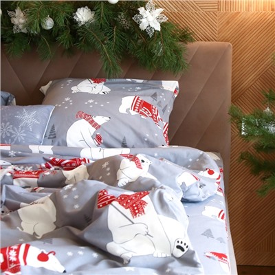 Постельное бельё "Этель" 1.5 сп «Зимние игры» 143*215 см, 150*214 см, 70*70 см -2 штуки