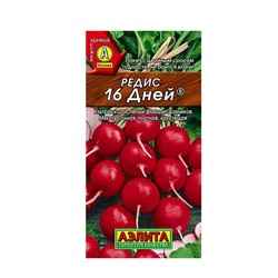 Редис 16 дней