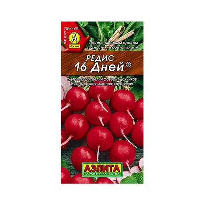 Редис 16 дней