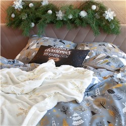 Постельное бельё "Этель" 1.5 сп Let it snow (вид 2) 143х215 см, 150х214 см, 70х70 см - 2 штуки