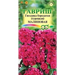 Семена Гвоздика бородатая (турецкая) Малиновая, арт.: 11748