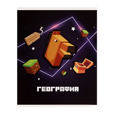 Тетрадь предметная 36 листов в клетку Calligrata «Пиксели. География», обложка мелованный картон