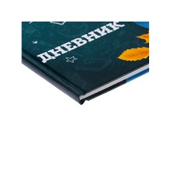 Дневник школьный для 1-11 классов, «Школа», твёрдая обложка 7БЦ, глянцевая ламинация, 40 листов