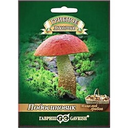 Мицелий грибов Подосиновик, арт.: 11311