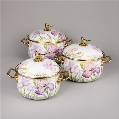 НАБОР КАСТРЮЛЬ AGNESS ЭМАЛИРОВАННЫХ СЕРИЯ "IRISES", 6ПР. 2,1Л, 2,8Л И 3,8Л