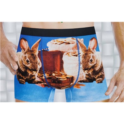 Мужские трусы арт. 30220