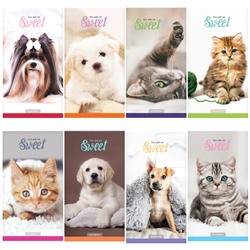 Блокнот А6 24л. на скрепке ArtSpace "Домашние любимцы. Микс"