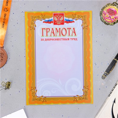Папка «Портфолио старшеклассника», 8 грамот, А4
