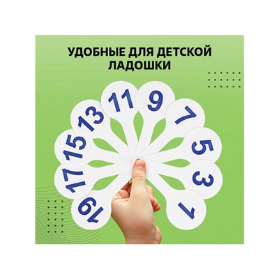 Набор веер-касс, гласные, согласные, цифры от 1 до 20, Calligrata TOP, плотные, 3 штуки, пакет с европодвесом