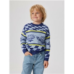 Джемпер детский для мальчиков Dino